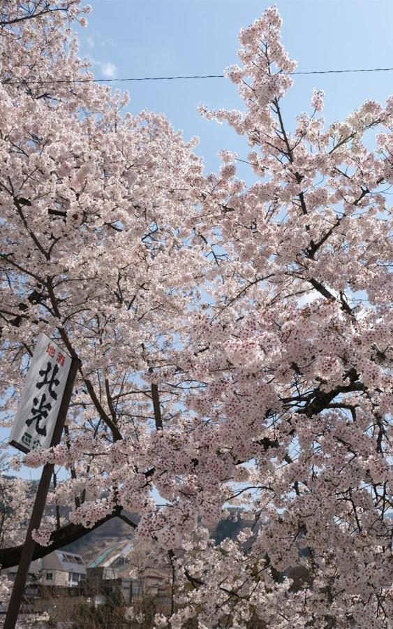 Апартаменты Address Nozawa Экстерьер фото